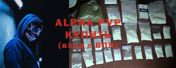 прущие грибы Нефтекумск