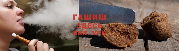 гашик Дубна