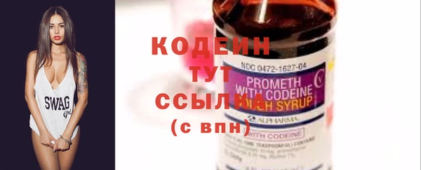 первитин Новодвинск