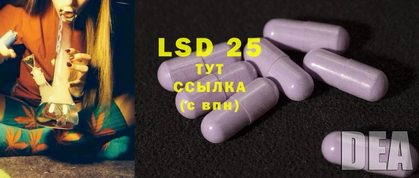 мяу мяу мука Новозыбков