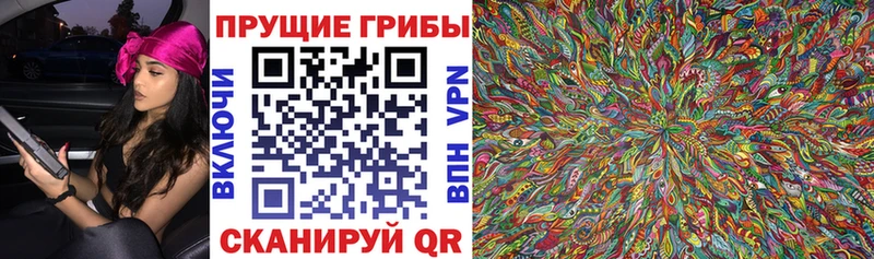 Галлюциногенные грибы Magic Shrooms  где купить наркоту  Новоалтайск 