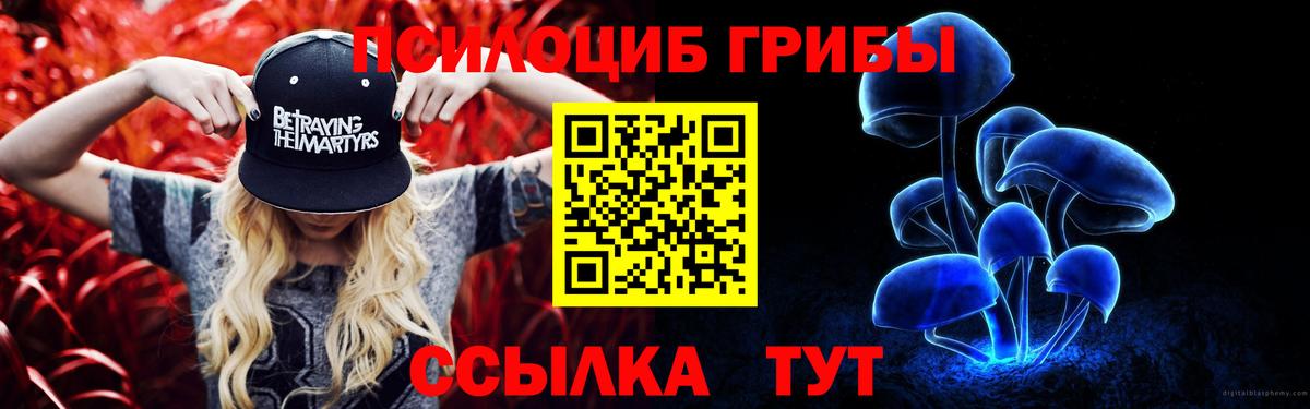 купить   Псилоцибиновые грибы мухоморы  Вход с VPN  Новоалтайск 