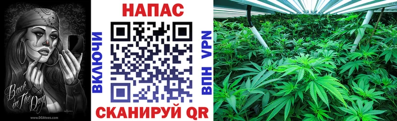МАРИХУАНА Amnesia Новоалтайск