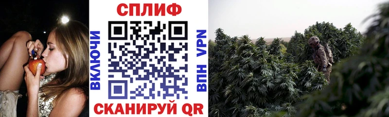 Марихуана индика  кракен зеркало  Новоалтайск 